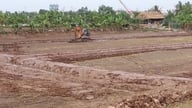 Para petani di Hai Phong bersiap untuk musim budidaya perikanan yang baru.