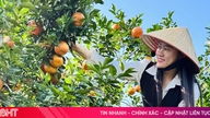 На ринку Тет вирує сільськогосподарська продукція, «виготовлена ​​в Ха Тінь».