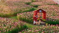 Økoparken bugner af blomster i større byer i alle tre regioner i Vietnam under Hestens Månenyår 2026.