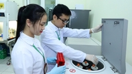 Vietnam Tarım Akademisi, IELTS puanlarını 4.0 ve üzeri olarak değerlendirip puan eklemeye devam etmektedir.