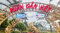 Experience the "Spring of Connection" in the year of the Horse 2026 at the Phu My Hung flower street.