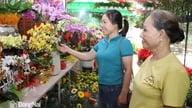Selv om Tet (vietnamesisk nytår) nærmer sig, er markedet for blomster og Valentinsdagsgaver fortsat ret forskelligartet med mange salgsfremmende programmer.