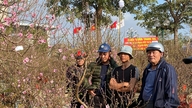 Ennusteiden mukaan Pohjois-Vietnamissa alkaa uusi kylmä jakso Tet-kuun (kiinalaisen uudenvuoden) ensimmäisenä päivänä.