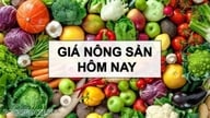 Precios de los productos agrícolas hoy, 29 de mayo de 2026: Los precios del café suben bruscamente, los precios internos alcanzan temporalmente el equilibrio, China "abre sus puertas" al café de 53 países africanos.