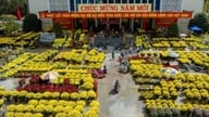 Hue Frühlingsblumenmarkt: Wo Tet (das vietnamesische Neujahrsfest) jedes Zuhause berührt.