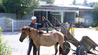 An Giang: Discover the once-famous "capital" of horse-drawn carriages in the Thất Sơn region.