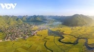 Satul Quynh Son: Experimentați sărbătoarea Tet (Anul Nou vietnamez) în nordul Vietnamului în cel mai bun sat turistic din lume.