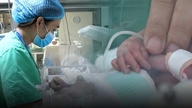 Tet di hospital (3): Musim bunga cinta di tempat kehidupan dipupuk.