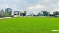 ฮาติญ: ความคิดถึงยังคงอบอวลอยู่ในตลาดช่วงปลายปี