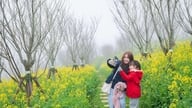 2026 İlkbaharında Kuzey Vietnam Gezisi: Hanoi'nin rengarenk çiçeklerinden Fansipan'ın kutsal zirvesine ve Ha Long Körfezi'nin deniz festivaline.