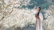 Während der Hochsaison zum chinesischen Neujahr (am 4. und 5. Tag des chinesischen Neujahrs) strömten die Touristen nach Moc Chau, und die schönen Zimmer waren frühzeitig ausgebucht.