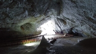 Šokující: Bakterie zmrazené po dobu 5 000 let jsou stále rezistentní vůči mnoha silným antibiotikům.