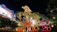 อำลาถนนดอกไม้ตรุษจีนปีม้า 2026 ในเขตไซง่อน