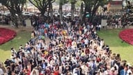 Vietnam byder 14 millioner turister velkommen under kinesisk nytår i 2026.