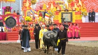 Le secrétaire du Parti de la province de Ninh Binh participe à la cérémonie du labour lors du festival Tich Dien 2026.
