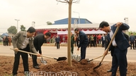 Pemerintah daerah akan meluncurkan "Festival Penanaman Pohon sebagai Ungkapan Terima Kasih Abadi kepada Presiden Ho Chi Minh" pada tahun 2026.