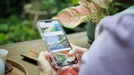 Digitale Transformation – ein „Hebel“ zur Schaffung eines intelligenten Tourismus-Ökosystems.