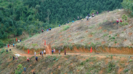 Nghia Tam inicia la temporada de reforestación.