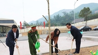 Bac Ninh: Son Dong kommune lancerer "Træplantningsfestival i evig taknemmelighed til onkel Ho" forår 2026