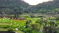 Ninh Binh: Oplev Thung Nham - Det største naturlige fuglereservat i det nordlige Vietnam, beliggende på et kulturarvssted.
