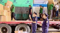 Dovozní a vývozní aktivity přes severní hranici se opět oživily a na začátku roku vykazovaly pozitivní známky růstu.
