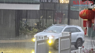 In de provincie Lam Dong valt op grote schaal "gouden regen".