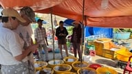 Fiskelandsbyen Mui Ne er travel tidlig på våren.