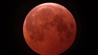 Eclipse lunar del 3 de marzo: Última oportunidad para ver la "Luna de Sangre" hasta 2028 y horarios de observación en Vietnam.