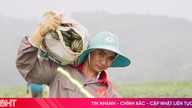 เกษตรกรประสบความสำเร็จในการปลูกฟักทองอินทรีย์ครั้งแรก