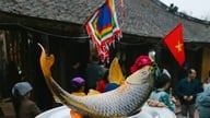 Hung Yenin erikoisruoka on lähes 10 tuntia riippumatossa paistettu karppi, joka on vakioruoka vanhinten pidoissa.