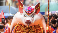 [Photo] Procession d'un « cochon » géant pesant plus de 200 kg lors du festival du village de La Phu