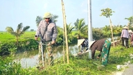 Para petani memperindah jalan-jalan desa, menciptakan kekayaan yang berkelanjutan.