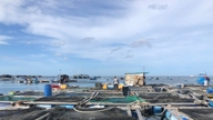 Création de nouveaux écosystèmes aquatiques marins.