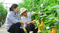 หน่วยงานส่งเสริมการเกษตรเป็นผู้นำและปูทางไปสู่การเกษตรที่ยั่งยืน
