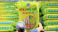 NPK Phu My مناطق کشت نیشکر استان داک لاک را همراهی می‌کند.