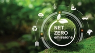 Net Zero: Conditions for Business Survival in the Green Era