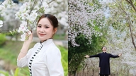 디엔비엔은 바우히니아 꽃이 피는 계절에 온화한 모습을 보여줍니다.
