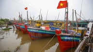 Ninh Binh, balıkçı gemilerinin denetimini sıkılaştırıyor ve AB denetleme ekibiyle yapılacak 5. toplantıya hazırlanıyor.