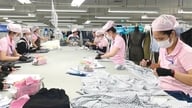 Virksomheder accelererer produktionen, og arbejderne vender tilbage til en ny produktionscyklus efter Tet.