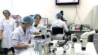 Ho Chi Minh City National University is seeking 167 scientists, offering research incentives worth tens of billions of VND.