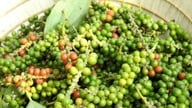 Pippurin hinta tänään, 11. maaliskuuta: Markkinat pysyvät vakaina 146 500 VND/kg:ssa.