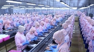 Äyriäisten vienti Lähi-itään: Logistiikkakustannukset nousevat jopa 4 000 dollaria konttia kohden.