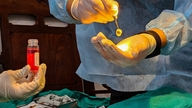Kepala rumah sakit akan bertanggung jawab jika donasi atau transplantasi organ tidak dilakukan sesuai peraturan.
