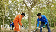 Mobilitazione per la manutenzione dei giardini del sito storico del Tempio Hung.