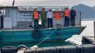 Reforzar el control y la aplicación de la ley contra las infracciones de las normas sobre pesca marina.