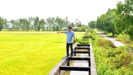 มาตรการเชิงรุกเพื่อปกป้องผลผลิตในช่วงฤดูแล้ง