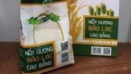 Cao Bang : Faire évoluer le programme OCOP de « un produit par commune » à « un produit pour plusieurs communes ».