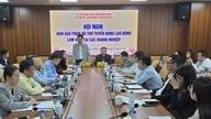 ក្វាងនិញ៖ ក្រសួងកិច្ចការផ្ទៃក្នុងអនុវត្តដំណោះស្រាយប្រកបដោយភាពសកម្ម ដើម្បីគាំទ្រដល់អាជីវកម្មក្នុងការជ្រើសរើសបុគ្គលិកនៅឆ្នាំ ២០២៦។