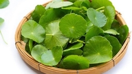 Come prevenire prurito e orticaria in primavera.