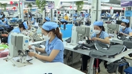 Da Nang udsteder oprindelsescertifikater for varer hos Department of Industri and Trade.
